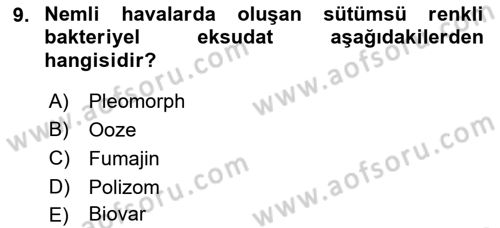 Fitopatoloji Dersi 2018 - 2019 Yılı (Final) Dönem Sonu Sınav Soruları 9. Soru