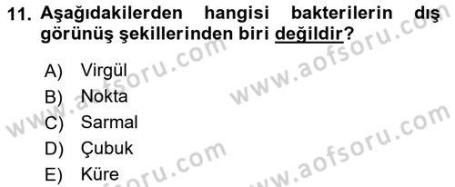 Fitopatoloji Dersi 2018 - 2019 Yılı Yaz Okulu Sınav Soruları 11. Soru