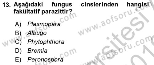 Fitopatoloji Dersi 2018 - 2019 Yılı Yaz Okulu Sınav Soruları 13. Soru