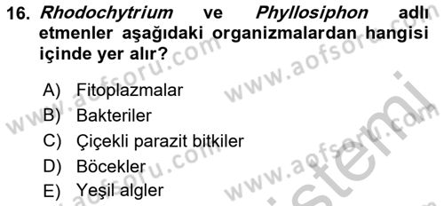 Fitopatoloji Dersi 2018 - 2019 Yılı Yaz Okulu Sınav Soruları 16. Soru