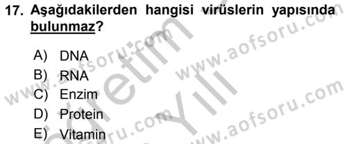 Fitopatoloji Dersi 2018 - 2019 Yılı Yaz Okulu Sınav Soruları 17. Soru