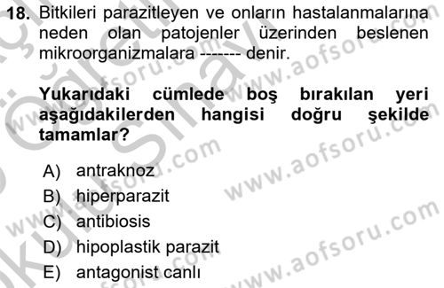 Fitopatoloji Dersi 2018 - 2019 Yılı Yaz Okulu Sınav Soruları 18. Soru