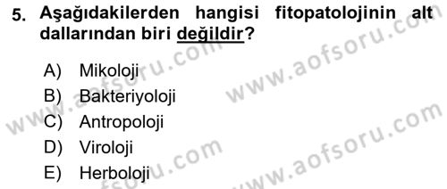 Fitopatoloji Dersi 2018 - 2019 Yılı Yaz Okulu Sınav Soruları 5. Soru
