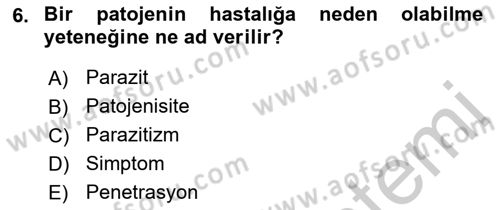 Fitopatoloji Dersi 2018 - 2019 Yılı Yaz Okulu Sınav Soruları 6. Soru
