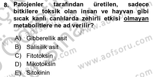 Fitopatoloji Dersi 2018 - 2019 Yılı Yaz Okulu Sınav Soruları 8. Soru
