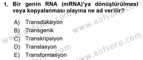 Fitopatoloji Dersi 2019 - 2020 Yılı (Vize) Ara Sınav Soruları 1. Soru