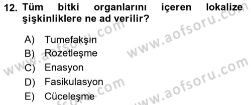 Fitopatoloji Dersi 2019 - 2020 Yılı (Vize) Ara Sınav Soruları 12. Soru