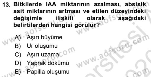 Fitopatoloji Dersi 2019 - 2020 Yılı (Vize) Ara Sınav Soruları 13. Soru