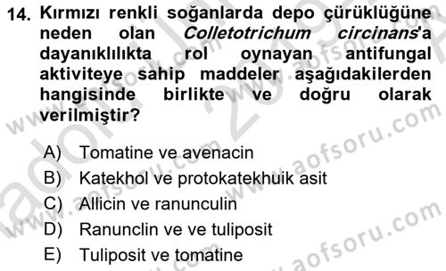 Fitopatoloji Dersi 2019 - 2020 Yılı (Vize) Ara Sınav Soruları 14. Soru