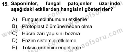 Fitopatoloji Dersi 2019 - 2020 Yılı (Vize) Ara Sınav Soruları 15. Soru