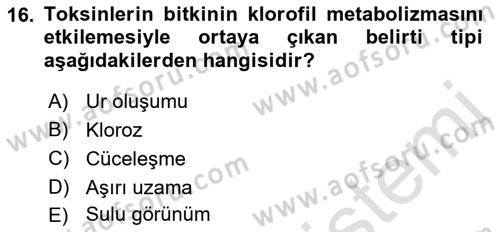 Fitopatoloji Dersi 2019 - 2020 Yılı (Vize) Ara Sınav Soruları 16. Soru
