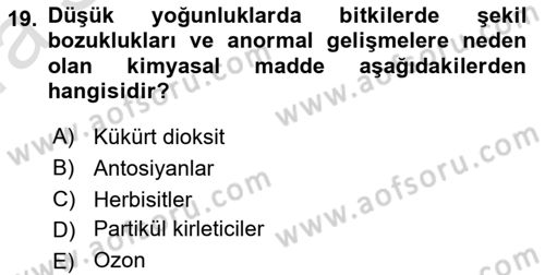 Fitopatoloji Dersi 2019 - 2020 Yılı (Vize) Ara Sınav Soruları 19. Soru