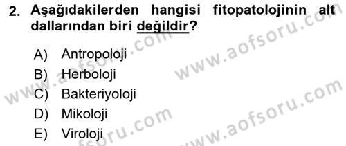 Fitopatoloji Dersi 2019 - 2020 Yılı (Vize) Ara Sınav Soruları 2. Soru