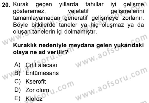 Fitopatoloji Dersi 2019 - 2020 Yılı (Vize) Ara Sınav Soruları 20. Soru