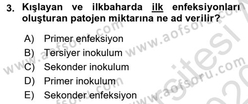 Fitopatoloji Dersi 2019 - 2020 Yılı (Vize) Ara Sınav Soruları 3. Soru