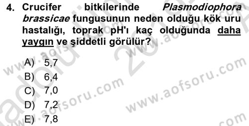 Fitopatoloji Dersi 2019 - 2020 Yılı (Vize) Ara Sınav Soruları 4. Soru