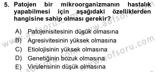Fitopatoloji Dersi 2019 - 2020 Yılı (Vize) Ara Sınav Soruları 5. Soru