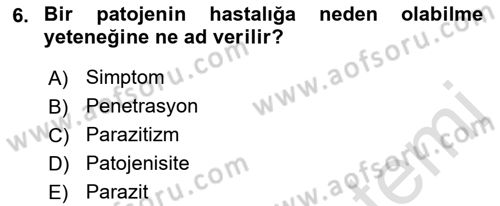 Fitopatoloji Dersi 2019 - 2020 Yılı (Vize) Ara Sınav Soruları 6. Soru