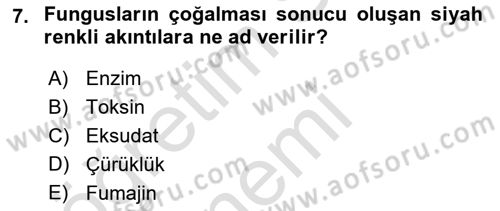 Fitopatoloji Dersi 2019 - 2020 Yılı (Vize) Ara Sınav Soruları 7. Soru