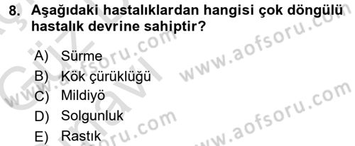 Fitopatoloji Dersi 2019 - 2020 Yılı (Vize) Ara Sınav Soruları 8. Soru