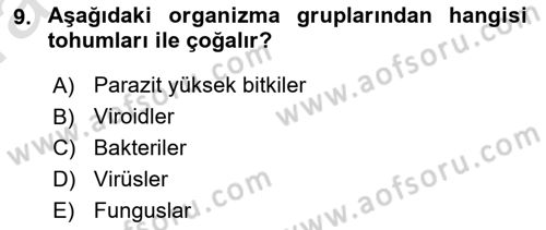Fitopatoloji Dersi 2019 - 2020 Yılı (Vize) Ara Sınav Soruları 9. Soru