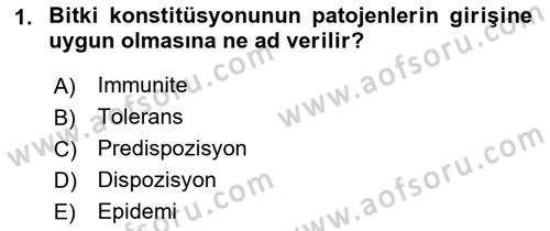 Fitopatoloji Dersi 2019 - 2020 Yılı (Final) Dönem Sonu Sınav Soruları 1. Soru