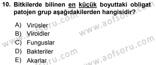 Fitopatoloji Dersi 2019 - 2020 Yılı (Final) Dönem Sonu Sınav Soruları 10. Soru