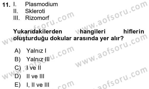 Fitopatoloji Dersi 2019 - 2020 Yılı (Final) Dönem Sonu Sınav Soruları 11. Soru