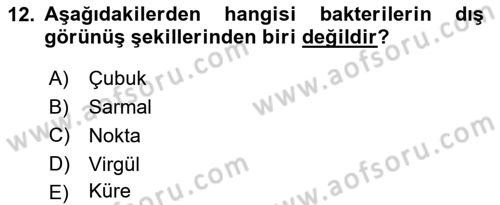 Fitopatoloji Dersi 2019 - 2020 Yılı (Final) Dönem Sonu Sınav Soruları 12. Soru
