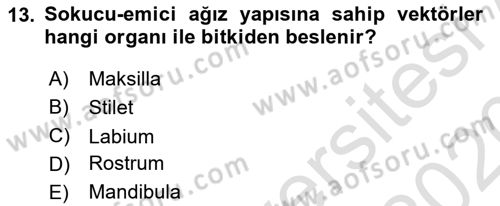 Fitopatoloji Dersi 2019 - 2020 Yılı (Final) Dönem Sonu Sınav Soruları 13. Soru
