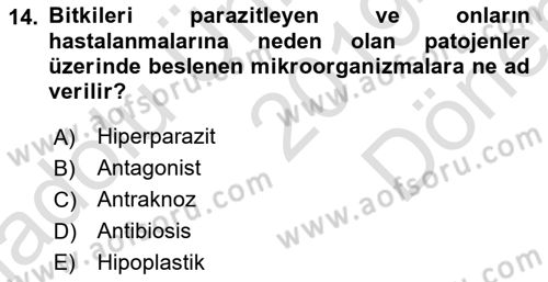 Fitopatoloji Dersi 2019 - 2020 Yılı (Final) Dönem Sonu Sınav Soruları 14. Soru