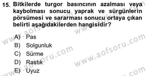 Fitopatoloji Dersi 2019 - 2020 Yılı (Final) Dönem Sonu Sınav Soruları 15. Soru
