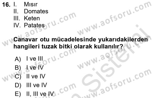 Fitopatoloji Dersi 2019 - 2020 Yılı (Final) Dönem Sonu Sınav Soruları 16. Soru