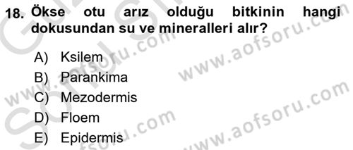 Fitopatoloji Dersi 2019 - 2020 Yılı (Final) Dönem Sonu Sınav Soruları 18. Soru
