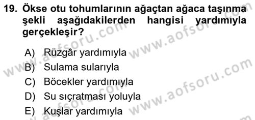 Fitopatoloji Dersi 2019 - 2020 Yılı (Final) Dönem Sonu Sınav Soruları 19. Soru