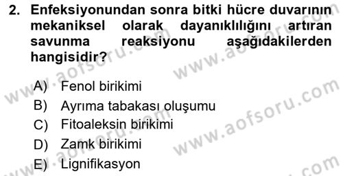 Fitopatoloji Dersi 2019 - 2020 Yılı (Final) Dönem Sonu Sınav Soruları 2. Soru