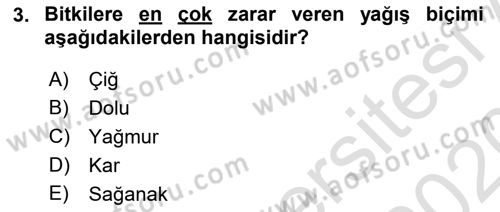 Fitopatoloji Dersi 2019 - 2020 Yılı (Final) Dönem Sonu Sınav Soruları 3. Soru