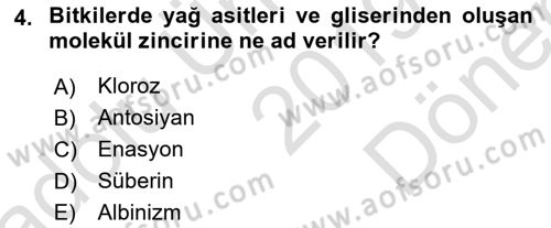Fitopatoloji Dersi 2019 - 2020 Yılı (Final) Dönem Sonu Sınav Soruları 4. Soru