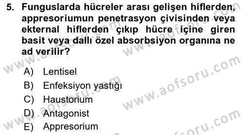 Fitopatoloji Dersi 2019 - 2020 Yılı (Final) Dönem Sonu Sınav Soruları 5. Soru