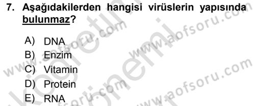 Fitopatoloji Dersi 2019 - 2020 Yılı (Final) Dönem Sonu Sınav Soruları 7. Soru
