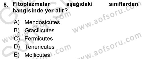 Fitopatoloji Dersi 2019 - 2020 Yılı (Final) Dönem Sonu Sınav Soruları 8. Soru
