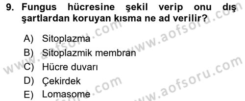 Fitopatoloji Dersi 2019 - 2020 Yılı (Final) Dönem Sonu Sınav Soruları 9. Soru
