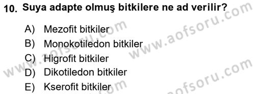 Fitopatoloji Dersi 2020 - 2021 Yılı Yaz Okulu Sınav Soruları 10. Soru