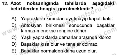 Fitopatoloji Dersi 2020 - 2021 Yılı Yaz Okulu Sınav Soruları 12. Soru