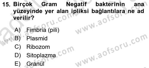 Fitopatoloji Dersi 2020 - 2021 Yılı Yaz Okulu Sınav Soruları 15. Soru