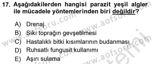 Fitopatoloji Dersi 2020 - 2021 Yılı Yaz Okulu Sınav Soruları 17. Soru