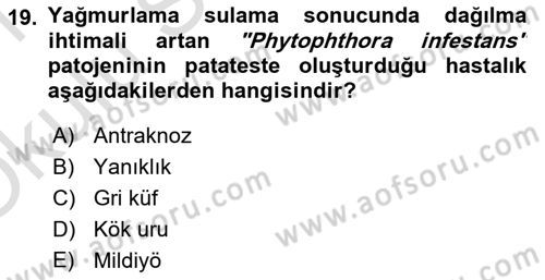 Fitopatoloji Dersi 2020 - 2021 Yılı Yaz Okulu Sınav Soruları 19. Soru