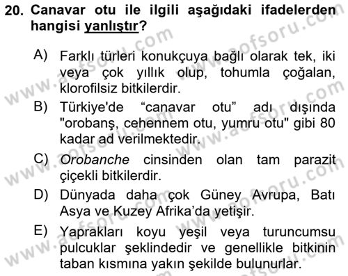 Fitopatoloji Dersi 2020 - 2021 Yılı Yaz Okulu Sınav Soruları 20. Soru