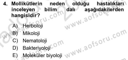 Fitopatoloji Dersi 2020 - 2021 Yılı Yaz Okulu Sınav Soruları 4. Soru