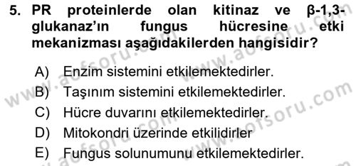 Fitopatoloji Dersi 2020 - 2021 Yılı Yaz Okulu Sınav Soruları 5. Soru